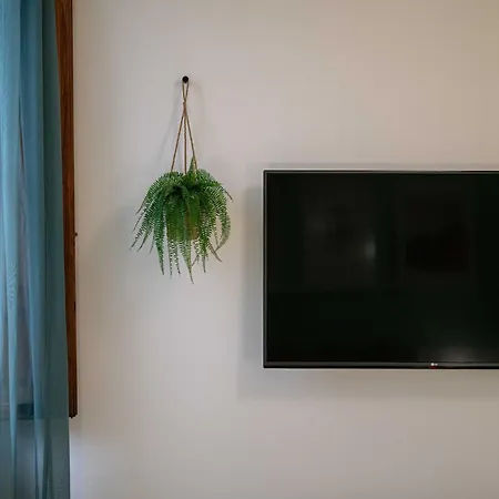 Apartamento Piave House Pisa